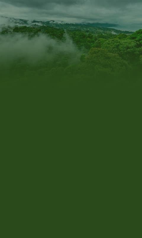 Plano Clima e Solo