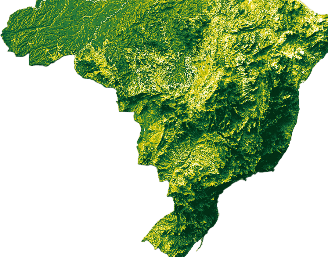 Mapa do Brasil com a área de reflorestamento da TreeMatters